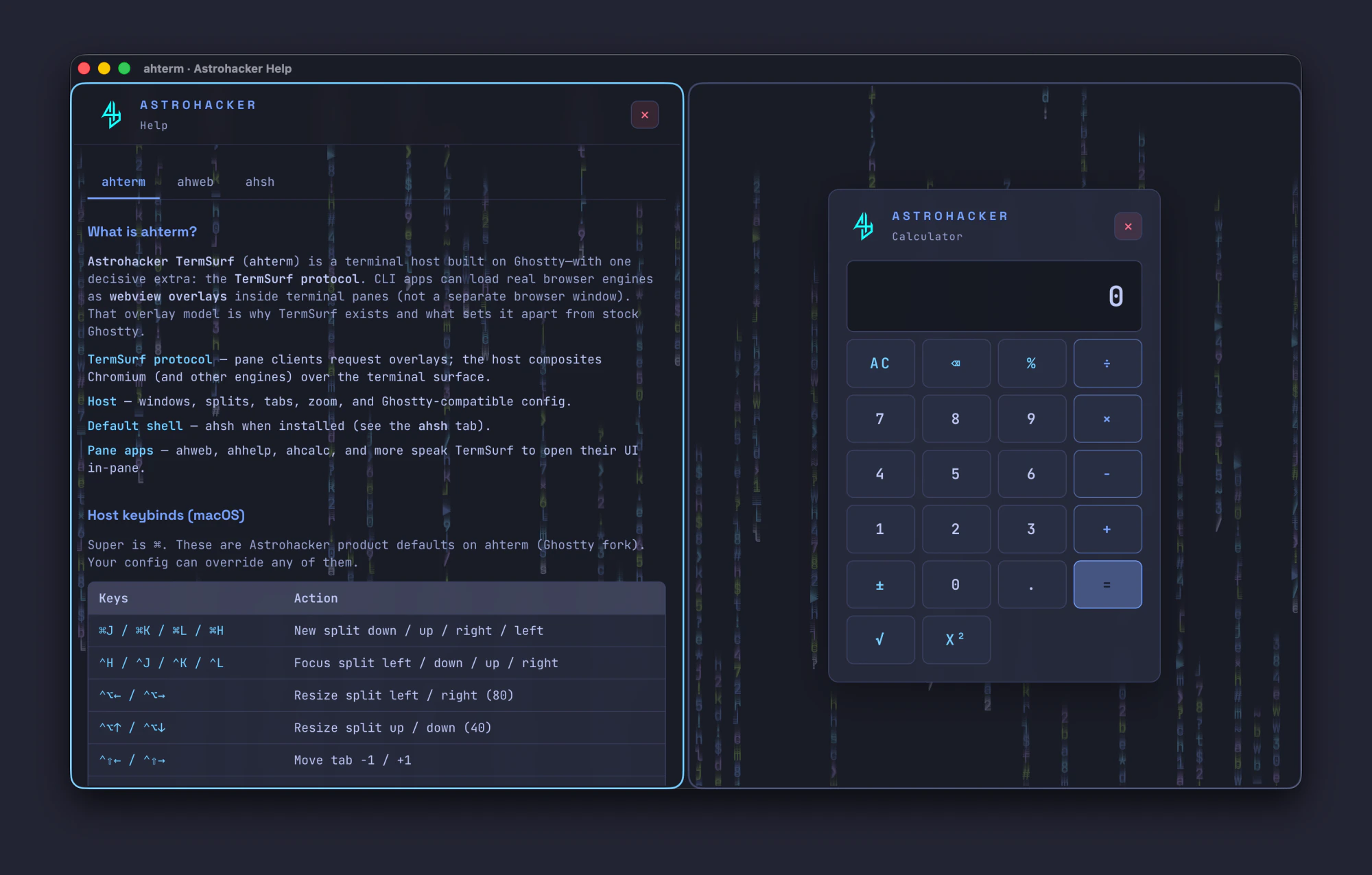 TermSurf split window with product help and the Astrohacker calculator in two panes